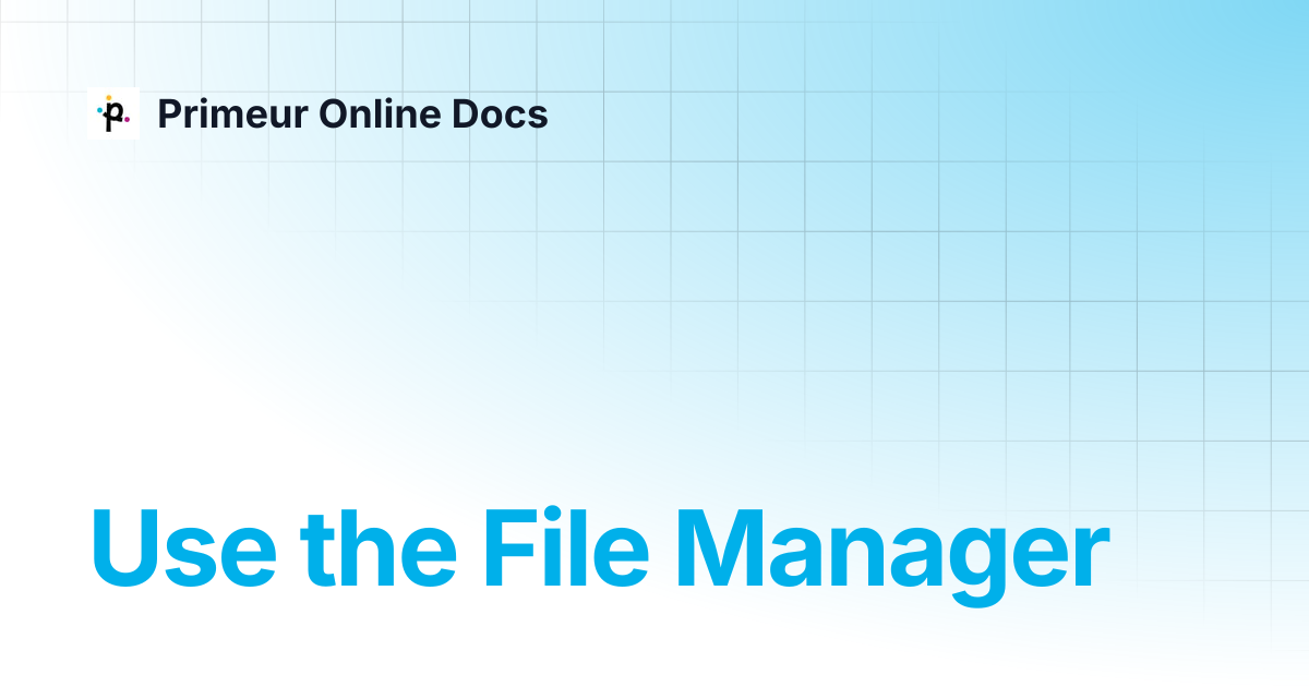 Use the File Manager | Data Mover 1.20 | Primeur Online Docs