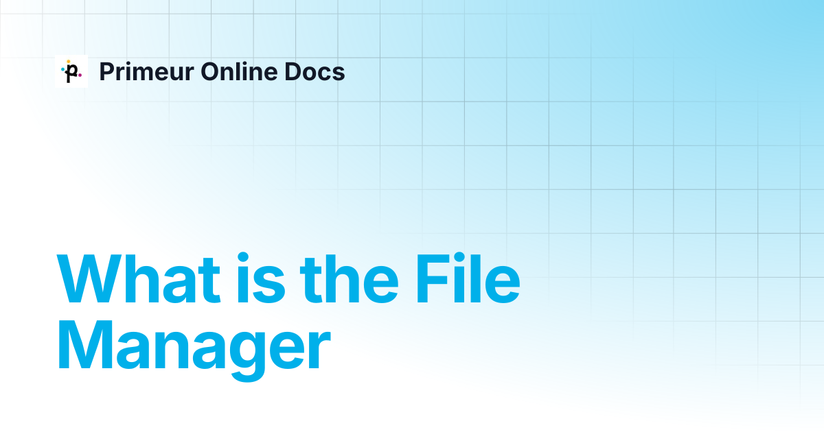 What is the File Manager | Data Mover 1.20 | Primeur Online Docs