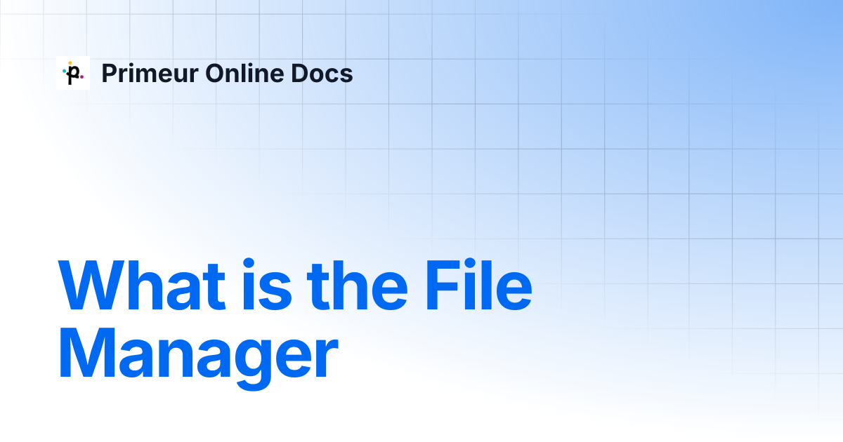 What is the File Manager | Data Mover Smart 1.1.22 | Primeur Online Docs
